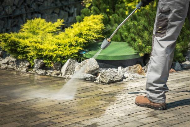 Animal Enclosure Cleaning in Monona, IA